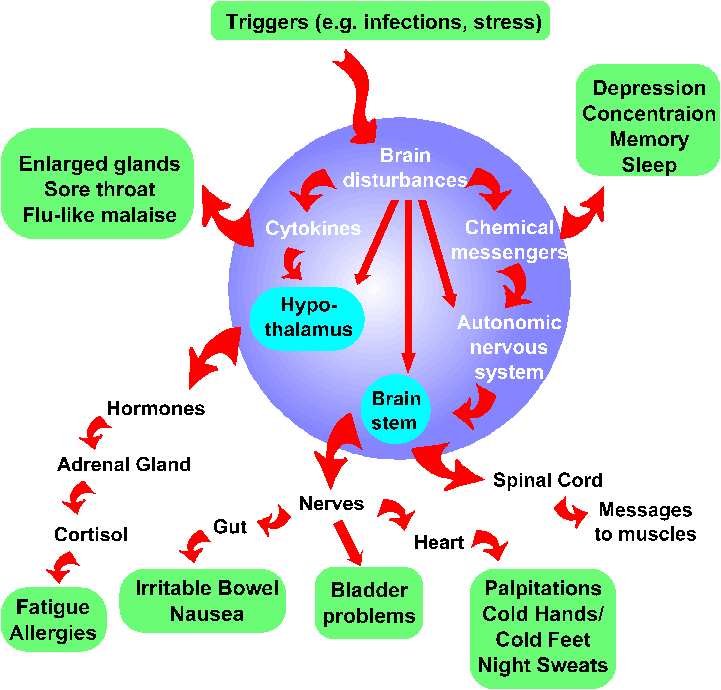 ME Theory Diagram